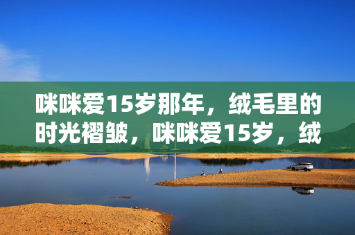 咪咪爱15岁那年,绒毛里的时光褶皱,咪咪爱15岁,绒毛里的时光褶皱 咪咪爱15岁那年,绒毛里的时光褶皱,咪咪爱15岁,绒毛里的时光褶皱