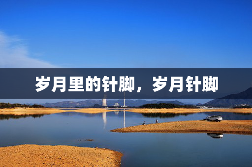 岁月里的针脚,岁月针脚 岁月里的针脚,岁月针脚