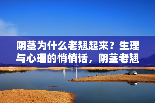 阴茎为什么老翘起来?生理与心理的悄悄话,阴茎老翘,生理与心理的悄悄话 阴茎为什么老翘起来?生理与心理的悄悄话,阴茎老翘,生理与心理的悄悄话