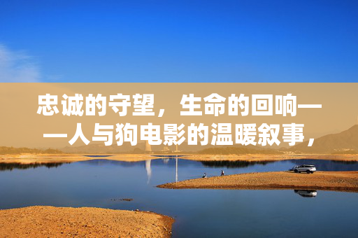 忠诚的守望,生命的回响——人与狗电影的温暖叙事,忠诚守望,生命回响——人与狗电影的温暖叙事 忠诚的守望,生命的回响——人与狗电影的温暖叙事,忠诚守望,生命回响——人与狗电影的温暖叙事