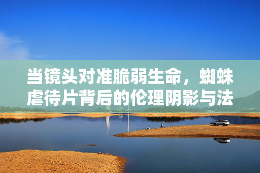 当镜头对准脆弱生命，蜘蛛虐待片背后的伦理阴影与法律边界，镜头下的脆弱生命，蜘蛛虐待片的伦理与法律边界