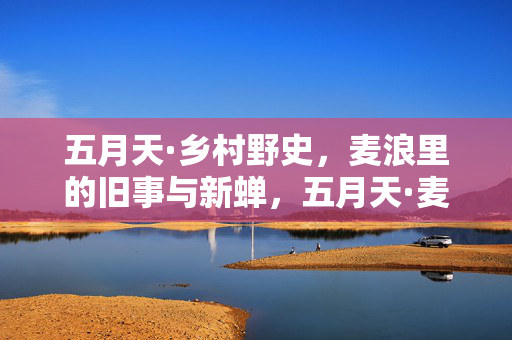 五月天·乡村野史，麦浪里的旧事与新蝉，五月天·麦浪野史，旧事与新蝉