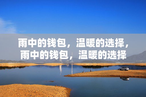 雨中的钱包,温暖的选择,雨中的钱包,温暖的选择 雨中的钱包,温暖的选择,雨中的钱包,温暖的选择