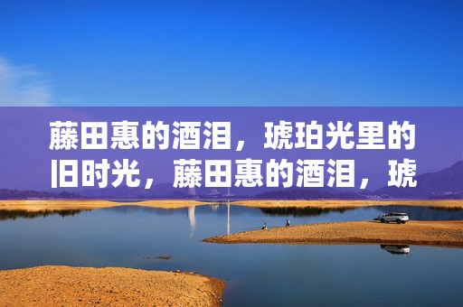 藤田惠的酒泪,琥珀光里的旧时光,藤田惠的酒泪,琥珀光里的旧时光 藤田惠的酒泪,琥珀光里的旧时光,藤田惠的酒泪,琥珀光里的旧时光