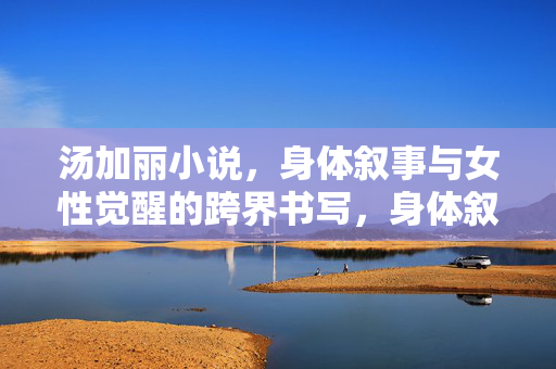 汤加丽小说,身体叙事与女性觉醒的跨界书写,身体叙事与女性觉醒,汤加丽小说的跨界书写 汤加丽小说,身体叙事与女性觉醒的跨界书写,身体叙事与女性觉醒,汤加丽小说的跨界书写
