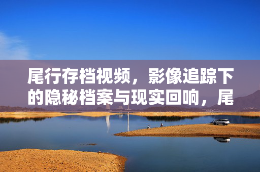 尾行存档视频,影像追踪下的隐秘档案与现实回响,尾行存档的影像追踪,隐秘档案与现实回响 尾行存档视频,影像追踪下的隐秘档案与现实回响,尾行存档的影像追踪,隐秘档案与现实回响