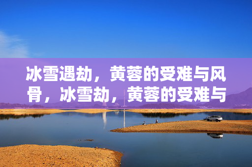 冰雪遇劫,黄蓉的受难与风骨,冰雪劫,黄蓉的受难与风骨 冰雪遇劫,黄蓉的受难与风骨,冰雪劫,黄蓉的受难与风骨