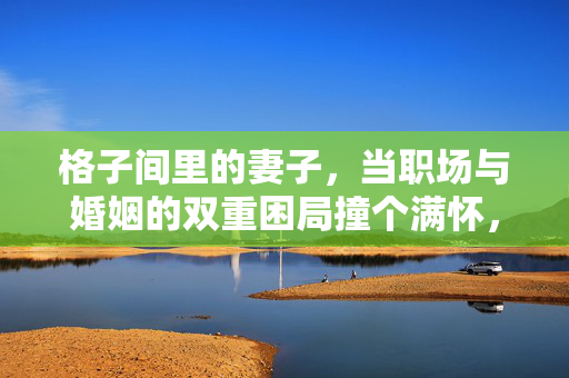 格子间里的妻子，当职场与婚姻的双重困局撞个满怀，格子间里的妻子，职场与婚姻困局撞满怀