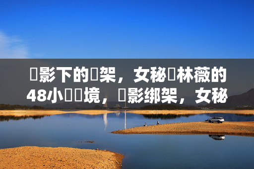 暱影下的綁架，女秘書林薇的48小時絕境，暱影绑架，女秘书林薇48小时绝境