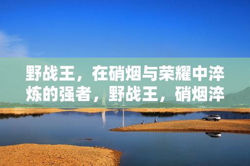 野战王,在硝烟与荣耀中淬炼的强者,野战王,硝烟淬炼的荣耀强者 野战王,在硝烟与荣耀中淬炼的强者,野战王,硝烟淬炼的荣耀强者