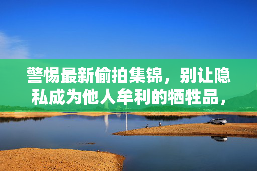 警惕最新偷拍集锦，别让隐私成为他人牟利的牺牲品，警惕最新偷拍集锦，隐私不是牟利牺牲品