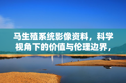 马生殖系统影像资料,科学视角下的价值与伦理边界,马生殖系统影像,科学价值与伦理边界 马生殖系统影像资料,科学视角下的价值与伦理边界,马生殖系统影像,科学价值与伦理边界