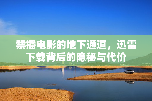 禁播电影的地下通道,迅雷下载背后的隐秘与代价 禁播电影的地下通道,迅雷下载背后的隐秘与代价