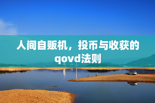 人间自贩机，投币与收获的qovd法则