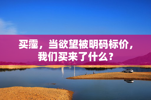 买霪,当欲望被明码标价,我们买来了什么? 买霪,当欲望被明码标价,我们买来了什么?