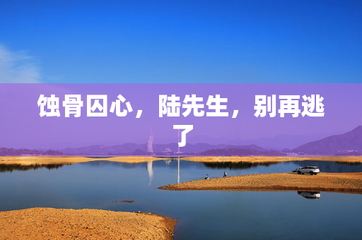 蚀骨囚心,陆先生,别再逃了 蚀骨囚心,陆先生,别再逃了