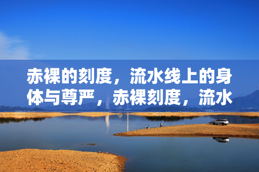 赤裸的刻度，流水线上的身体与尊严，赤裸刻度，流水线身体与尊严的困境