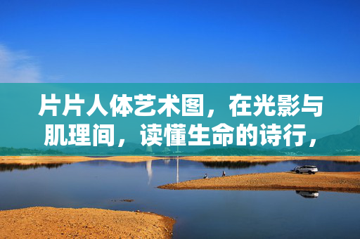 片片人体艺术图,在光影与肌理间,读懂生命的诗行,光影肌理间的生命诗行 片片人体艺术图,在光影与肌理间,读懂生命的诗行,光影肌理间的生命诗行