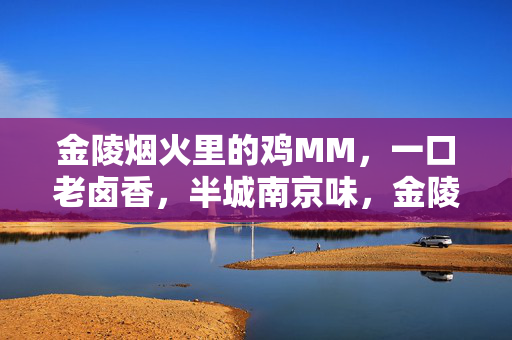 金陵烟火里的鸡MM,一口老卤香,半城南京味,金陵烟火鸡MM,老卤香漫半城南京味 金陵烟火里的鸡MM,一口老卤香,半城南京味,金陵烟火鸡MM,老卤香漫半城南京味