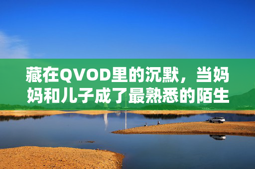 藏在QVOD里的沉默，当妈妈和儿子成了最熟悉的陌生人，藏在QVOD的沉默，妈妈与儿子的最熟悉的陌生人