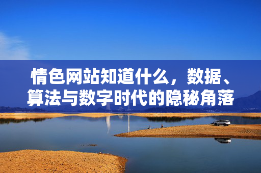 情色网站知道什么，数据、算法与数字时代的隐秘角落，数据、算法与数字时代的隐秘角落，情色网站知道什么