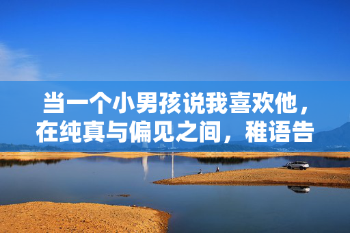 当一个小男孩说我喜欢他,在纯真与偏见之间,稚语告白,纯真与偏见之间 当一个小男孩说我喜欢他,在纯真与偏见之间,稚语告白,纯真与偏见之间