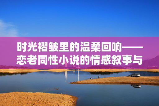 时光褶皱里的温柔回响——恋老同性小说的情感叙事与伦理探微，时光褶皱里的恋老回响，同性小说的情感叙事与伦理探微