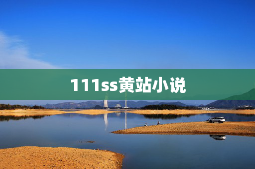 111ss黄站小说 111ss黄站小说