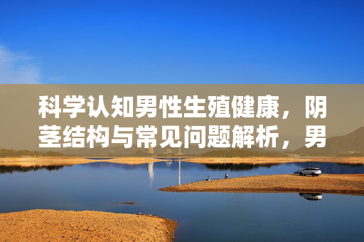 科学认知男性生殖健康,阴茎结构与常见问题解析,男性生殖健康,阴茎结构及常见问题科学解析 科学认知男性生殖健康,阴茎结构与常见问题解析,男性生殖健康,阴茎结构及常见问题科学解析