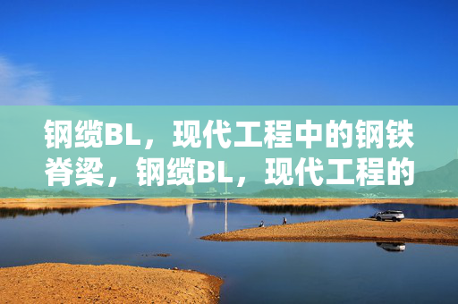 钢缆BL，现代工程中的钢铁脊梁，钢缆BL，现代工程的钢铁脊梁