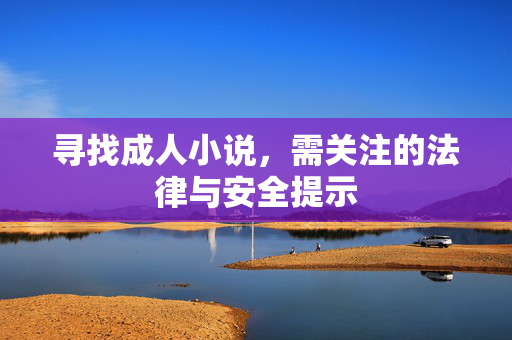 寻找成人小说,需关注的法律与安全提示 寻找成人小说,需关注的法律与安全提示