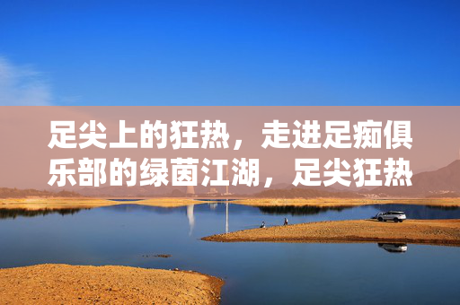 足尖上的狂热,走进足痴俱乐部的绿茵江湖,足尖狂热,足痴俱乐部的绿茵江湖 足尖上的狂热,走进足痴俱乐部的绿茵江湖,足尖狂热,足痴俱乐部的绿茵江湖