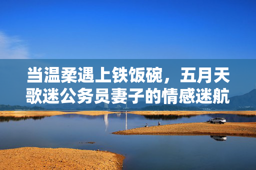 当温柔遇上铁饭碗，五月天歌迷公务员妻子的情感迷航，五月天歌迷公务员妻子，温柔与铁饭碗的情感迷航