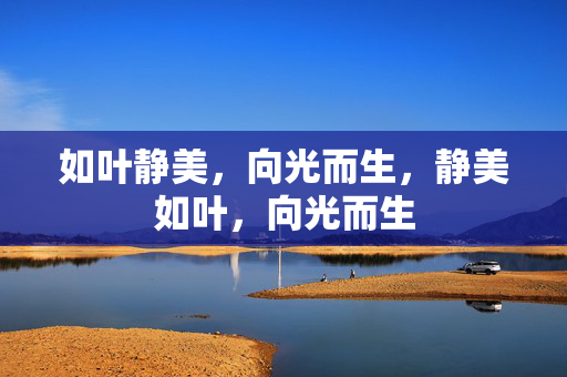 如叶静美，向光而生，静美如叶，向光而生