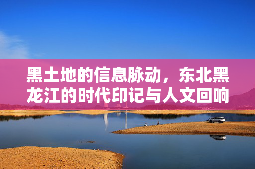 黑土地的信息脉动，东北黑龙江的时代印记与人文回响，黑土地的信息脉动与人文回响