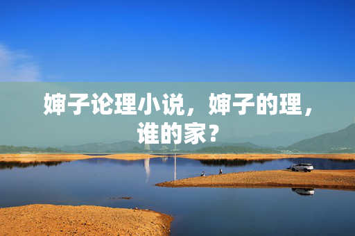 婶子论理小说，婶子的理，谁的家？