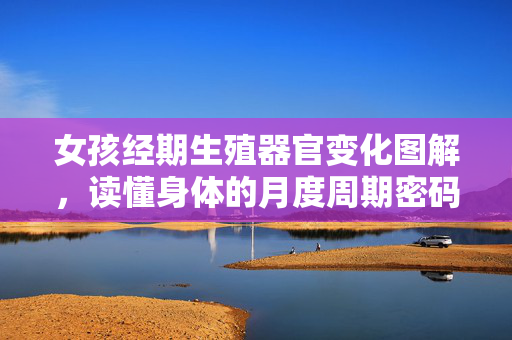 女孩经期生殖器官变化图解，读懂身体的月度周期密码，女孩经期生殖器官变化图解，解密身体的月度周期密码