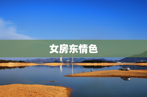 女房东情色
