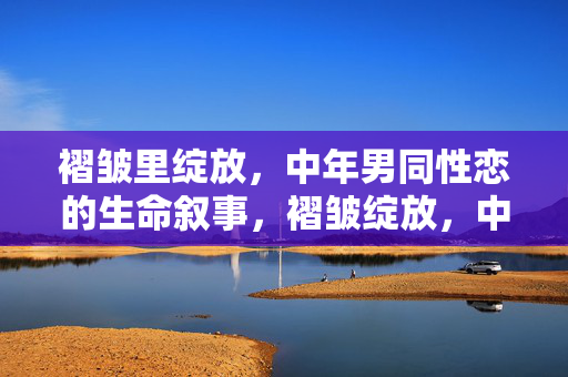 褶皱里绽放，中年男同性恋的生命叙事，褶皱绽放，中年男同性恋的生命叙事