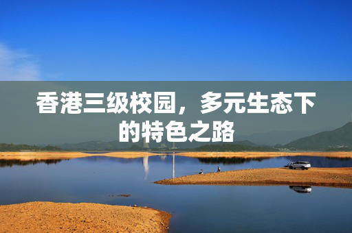 香港三级校园，多元生态下的特色之路