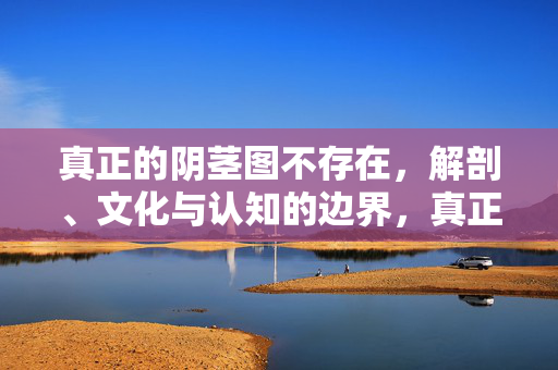 真正的阴茎图不存在，解剖、文化与认知的边界，真正的阴茎图，解剖、文化与认知的边界