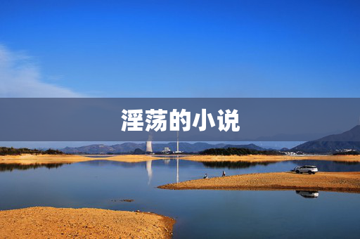 淫荡的小说