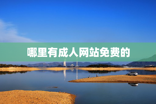 哪里有成人网站免费的