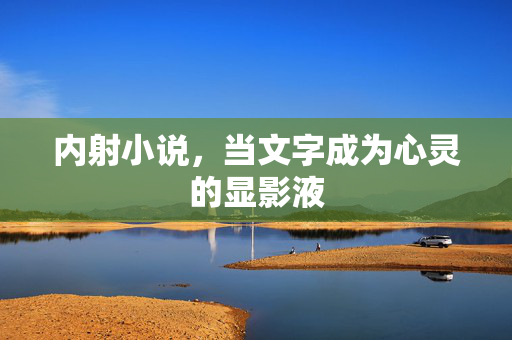 内射小说，当文字成为心灵的显影液