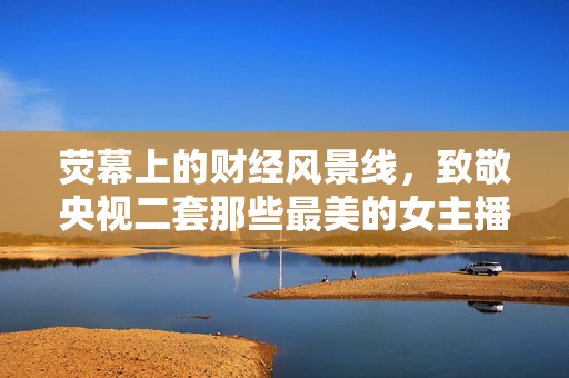 荧幕上的财经风景线，致敬央视二套那些最美的女主播，荧幕财经风景线，致敬央视二套最美女主播