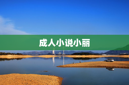 成人小说小丽