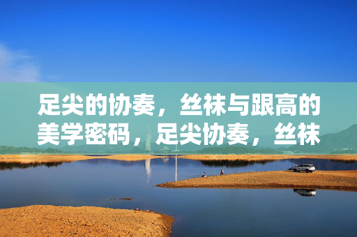 足尖的协奏，丝袜与跟高的美学密码，足尖协奏，丝袜与跟高的美学密钥