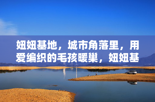妞妞基地，城市角落里，用爱编织的毛孩暖巢，妞妞基地，城市角落里用爱编织的毛孩暖巢