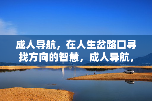成人导航，在人生岔路口寻找方向的智慧，成人导航，岔路口的方向智慧