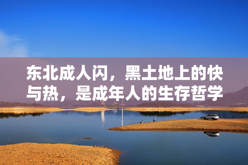 东北成人闪，黑土地上的快与热，是成年人的生存哲学，东北成人闪，黑土地上的快热生存哲学